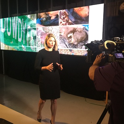 Huffman as an investigative reporter